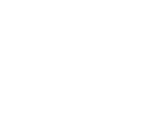 Advanced Alloy Holdings logo